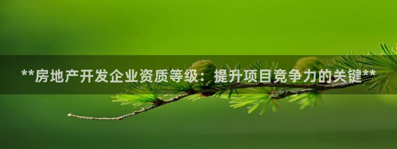 万向娱乐公司 585.34I 娱乐