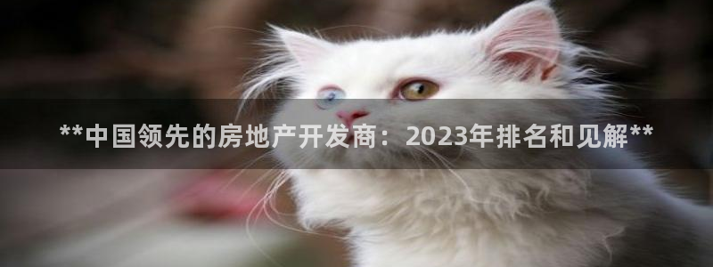 万象游戏代理