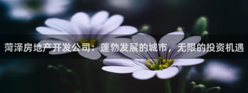 万向娱乐网址是什么