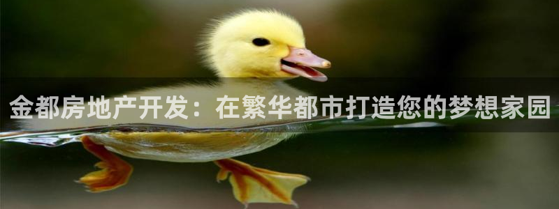 万向娱乐的494o3 主管