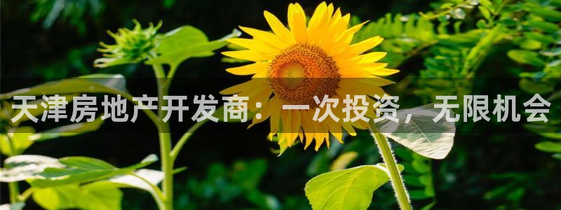万向娱乐技术