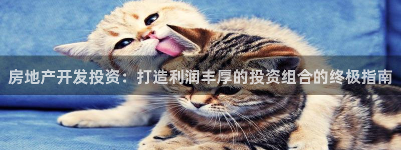 万向娱乐官网下载安装最新版