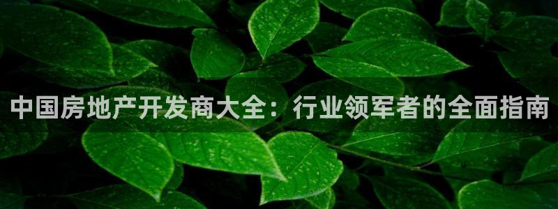 万向娱乐总代