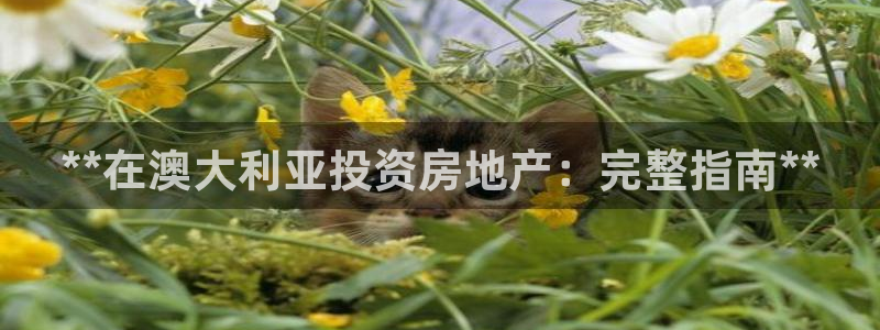 万向娱乐技术