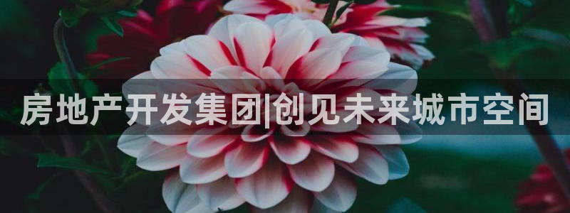 万向娱乐平台好不