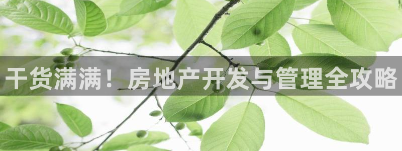 万向娱乐老板