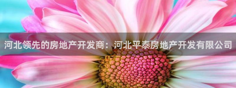 万向娱乐登陆官网入口