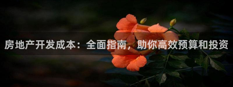万向娱乐app下载苹果版