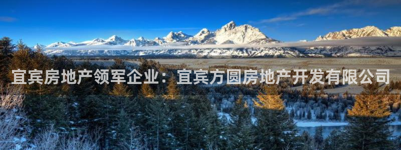 万向娱乐灯333OO