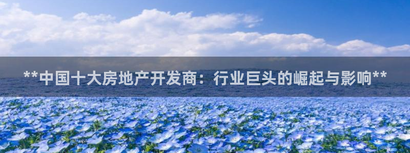 万向娱乐公司 585.34I 娱乐