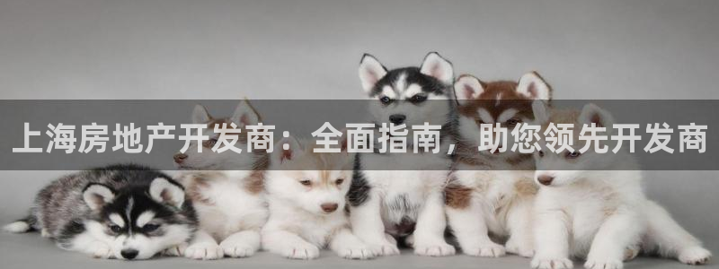 万向娱乐平台下载安装