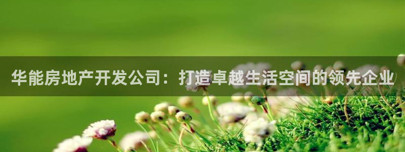 万向娱乐挂机