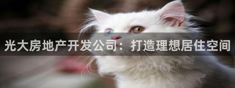 万向娱乐平台代理多少钱一个月