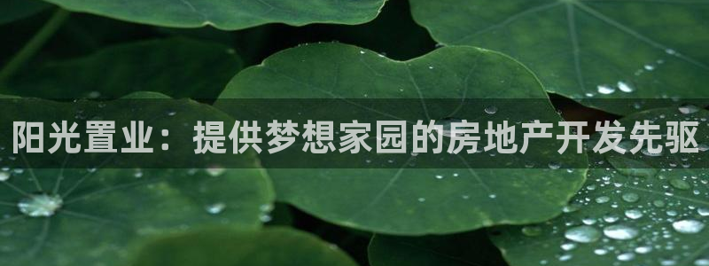 万向娱乐王者荣耀