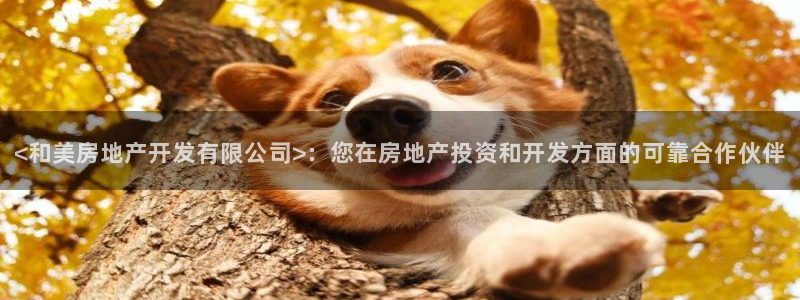 万向娱乐平台下载安装手机版