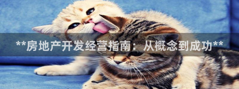 万向娱乐登陆官网
