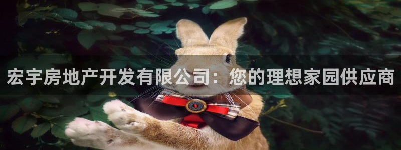 万向娱乐