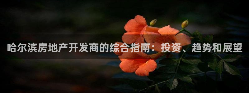 万向娱乐官网下载安装苹果