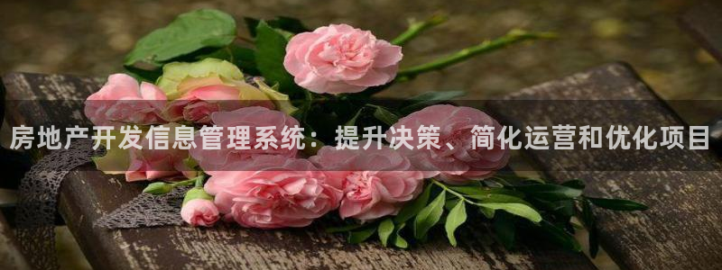 万向娱乐平台代理怎么做的