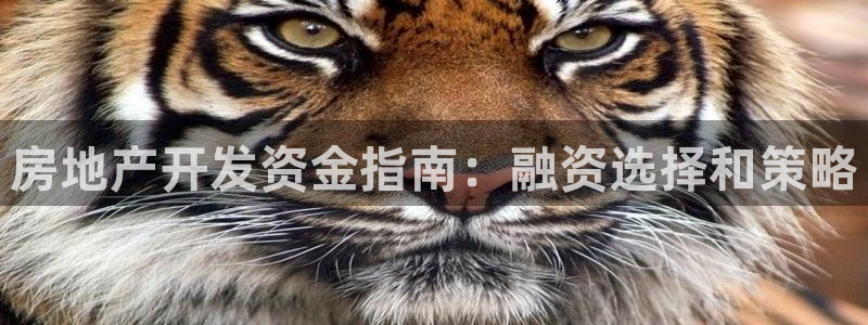 万向娱乐的494o3 主管