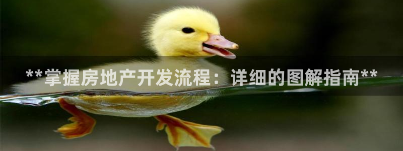 万向娱乐平台好不