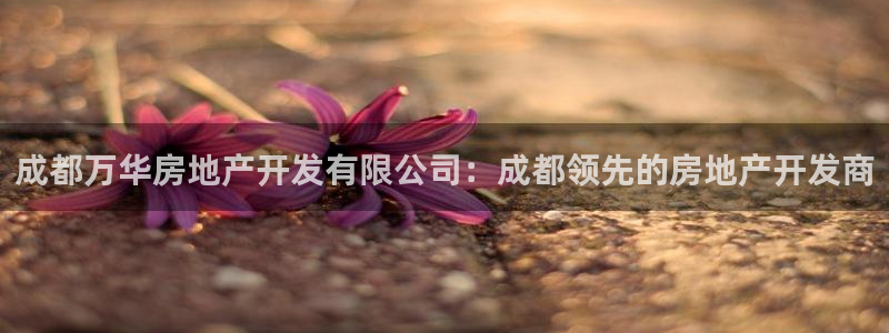 万向娱乐是野鸡台吗