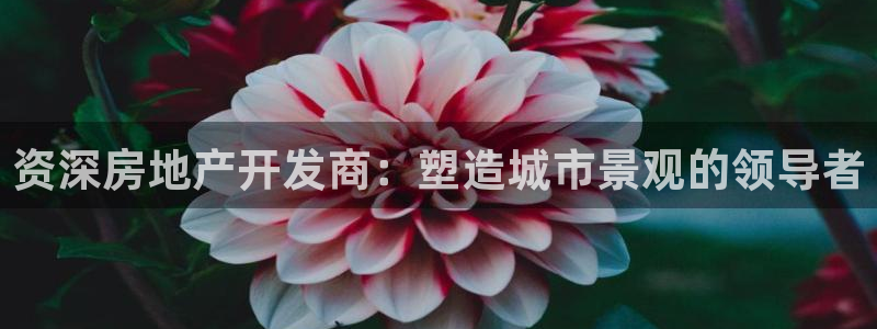 万向娱乐的联系方式是什么