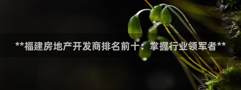 万向娱乐平台代理多少钱一年