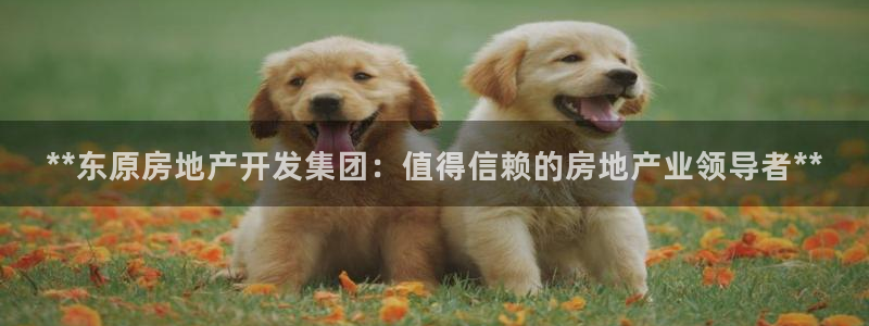 万向娱乐下载