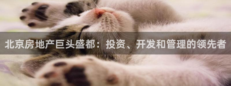 万向娱乐代理好看视频