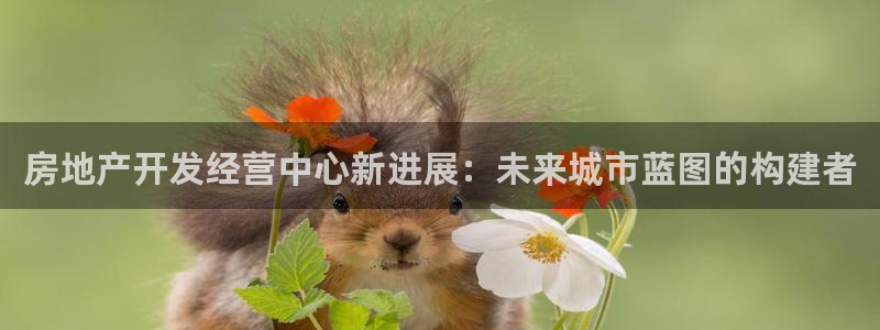 万向娱乐技术
