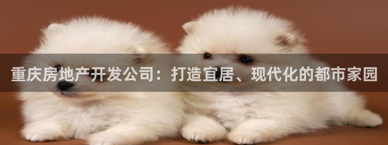 万向娱乐挂机