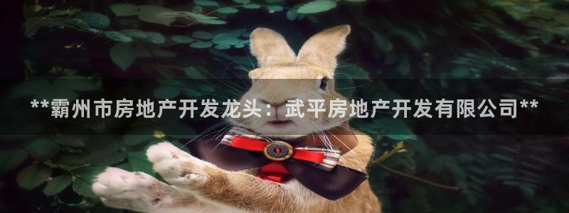 万向娱乐的联系方式是什么