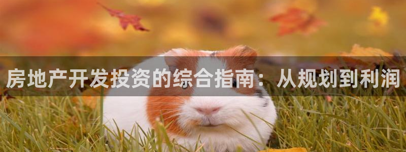 万向娱乐app下载安装