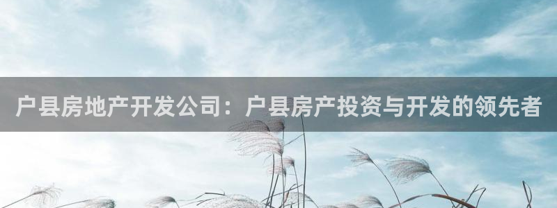 万向娱乐平台下载安装手机版