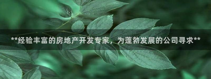 万向娱乐平台代理怎么样可靠吗