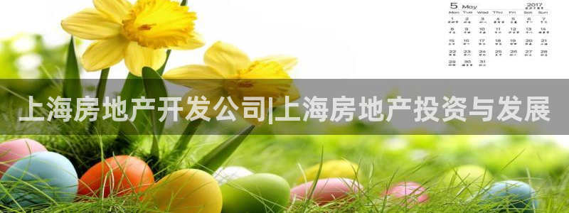 万向娱乐代理好看视频