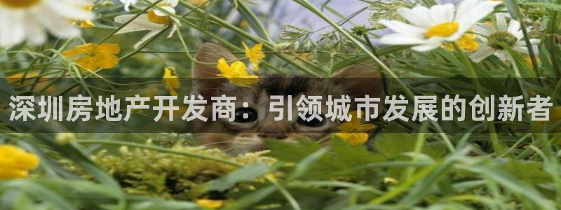 万向娱乐
