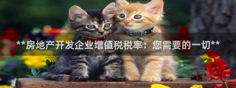 万向娱乐app