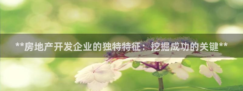 万向娱乐灯333OO