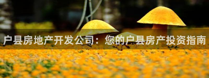 万向娱乐官网首页