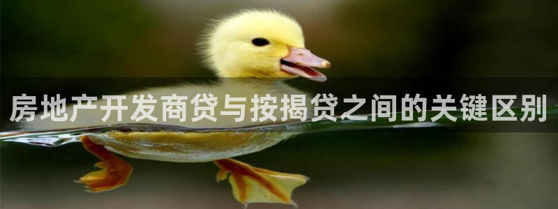 万向娱乐王者荣耀