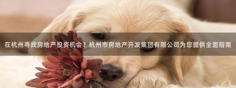 万向娱乐总代