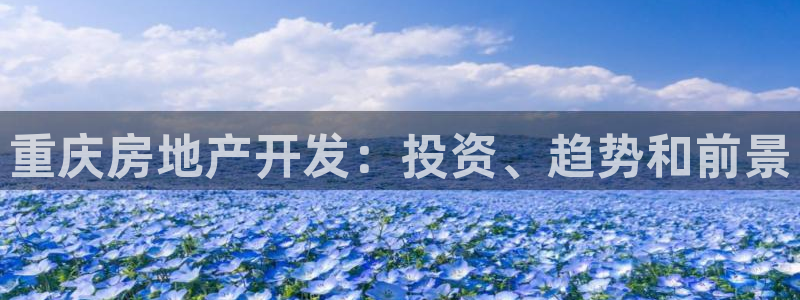 万向娱乐网址是什么