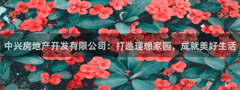 万向娱乐挂机软件