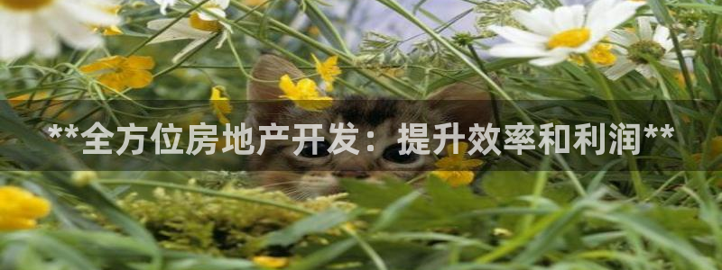 万向娱乐官网下载安装苹果