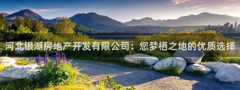 万向娱乐灯333OO