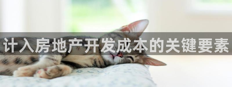 万向娱乐下载