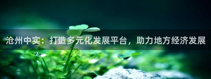 万向娱乐平台代理怎么做