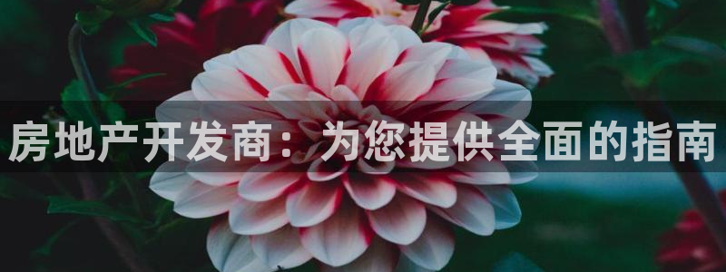 万向娱乐平台怎么下载